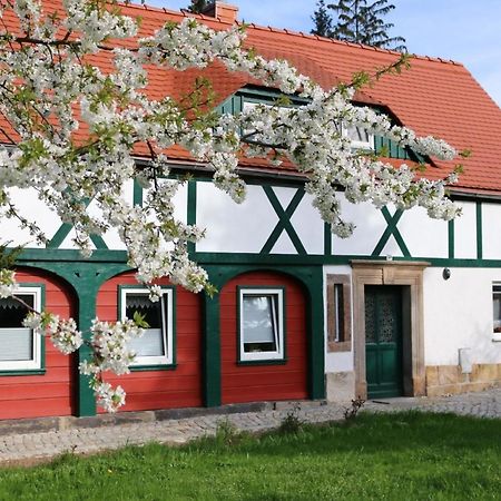 Ferienwohnung In Kurort Jonsdorf Mit Terrasse, Grill Und Garten Exterior photo